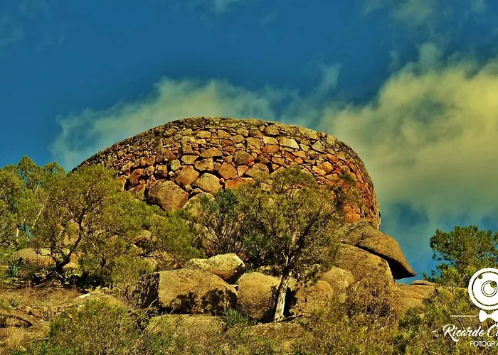 Summer Dream - אלבופיירה